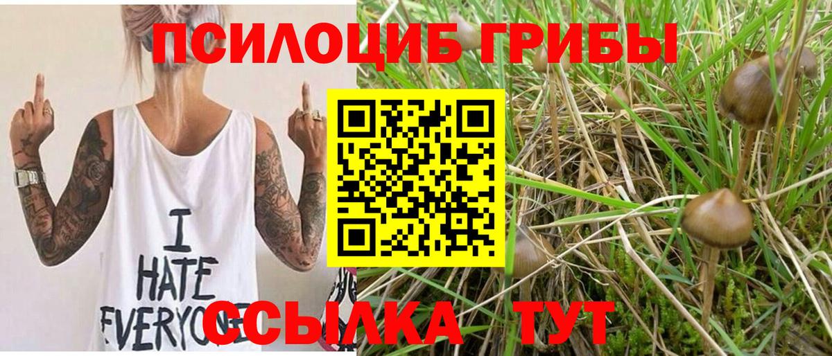 Галлюциногенные грибы мухоморы Чебаркуль