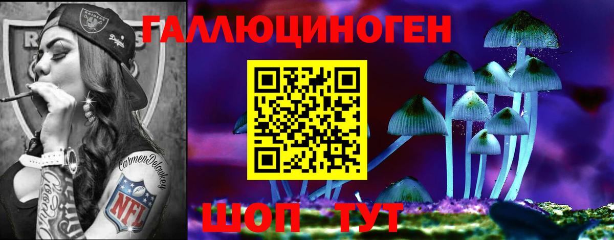 Чебаркуль  Галлюциногенные грибы MAGIC MUSHROOMS  Вход с VPN 